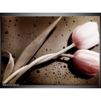 Foto canvas schilderij Tulp | Bruin, Grijs, Wit 