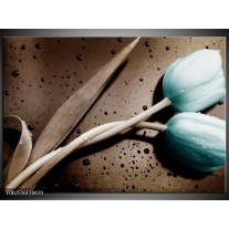 Foto canvas schilderij Tulp | Blauw, Grijs, Wit 