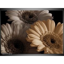 Foto canvas schilderij Bloem | Grijs, Geel 