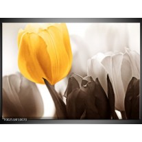 Glas schilderij Tulpen | Geel, Wit, Grijs 