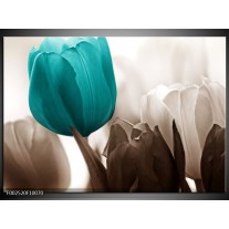 Foto canvas schilderij Tulpen | Blauw, Wit, Grijs 