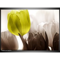 Foto canvas schilderij Tulpen | Groen, Wit, Grijs 