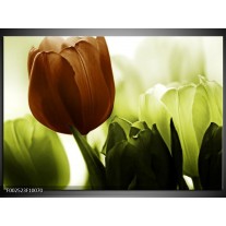 Foto canvas schilderij Tulpen | Bruin, Wit, Grijs 