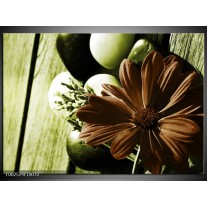 Foto canvas schilderij Bloem | Bruin, Wit, Groen 