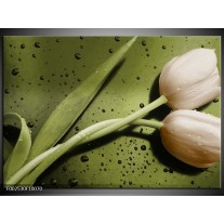 Foto canvas schilderij Tulp | Groen, Bruin 