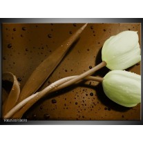 Foto canvas schilderij Tulp | Bruin, Groen 