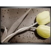 Foto canvas schilderij Tulp | Grijs, Geel, Zwart 