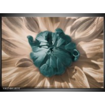 Foto canvas schilderij Bloem | Blauw, Wit, Grijs 