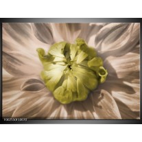 Foto canvas schilderij Bloem | Groen, Wit, Grijs 