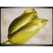 Foto canvas schilderij Tulp | Geel, Grijs, Zwart 