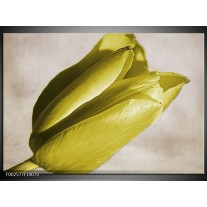 Glas schilderij Tulp | Geel, Grijs, Zwart 