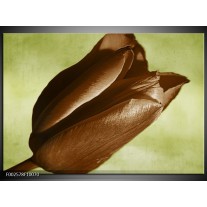 Foto canvas schilderij Tulp | Bruin, Grijs, Zwart 