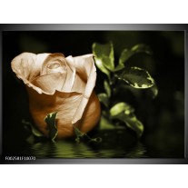 Foto canvas schilderij Bloem | Wit, Bruin, Groen 