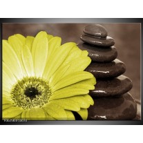 Foto canvas schilderij Bloem | Wit, Bruin, Groen 