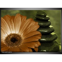 Foto canvas schilderij Bloem | Wit, Bruin, Groen 