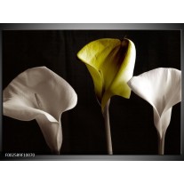 Glas schilderij Bloem | Groen, Wit, Zwart 