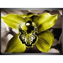 Foto canvas schilderij Iris | Groen, Wit, Grijs 