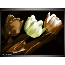 Foto canvas schilderij Tulp | Bruin, Groen, Zwart 