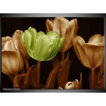 Foto canvas schilderij Tulp | Bruin, Groen, Zwart 