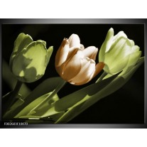 Foto canvas schilderij Tulp | Bruin, Groen, Zwart 