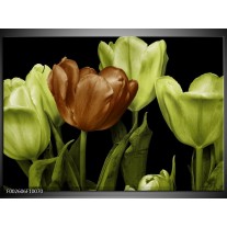 Foto canvas schilderij Tulp | Groen, Bruin, Zwart 