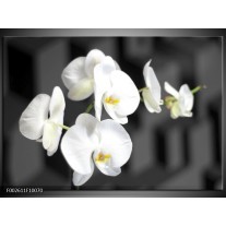 Foto canvas schilderij Orchidee | Zwart, Wit, Grijs 