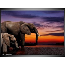 Foto canvas schilderij Olifant | Grijs, Oranje, Paars 