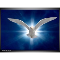 Foto canvas schilderij Vogel | Wit, Blauw 