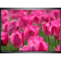 Foto canvas schilderij Tulp | Roze, Groen 