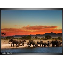 Foto canvas schilderij Olifant | Oranje, Grijs, Blauw 