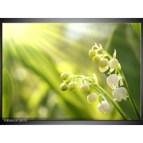 Foto canvas schilderij Bloem | Groen, Wit 