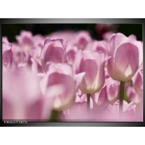 Foto canvas schilderij Tulpen | Roze, Wit 