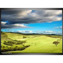 Foto canvas schilderij Natuur | Groen, Blauw, Wit 