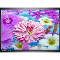 Foto canvas schilderij Bloem | Paars, Wit, Rood 