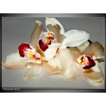 Foto canvas schilderij Orchidee | Wit, Grijs, Rood 