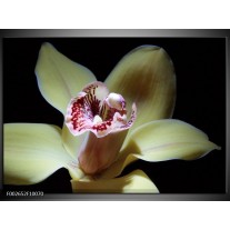 Foto canvas schilderij Bloem | Geel, Zwart, Groen 