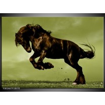 Foto canvas schilderij Paard | Bruin, Groen, Zwart 