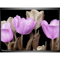 Foto canvas schilderij Tulp | Paars, Zwart, Grijs 