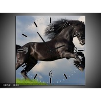 Wandklok op Canvas Paard | Kleur: Zwart, Groen, Wit | F002681C