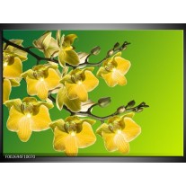 Foto canvas schilderij Orchidee | Geel, Groen, Wit 