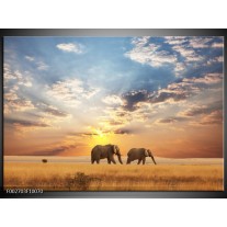 Foto canvas schilderij Olifant | Grijs, Geel, Blauw 