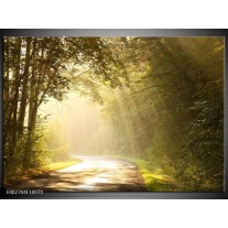 Foto canvas schilderij Natuur | Groen, Wit, Grijs 