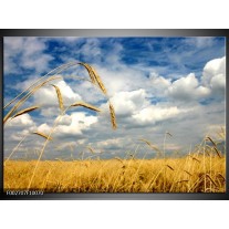 Foto canvas schilderij Natuur | Wit, Geel, Blauw 