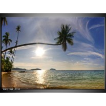 Foto canvas schilderij Natuur | Wit, Geel, Blauw 