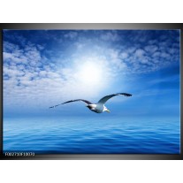 Foto canvas schilderij Vogel | Wit, Blauw 