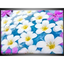 Foto canvas schilderij Bloemen | Blauw, Wit, Geel 