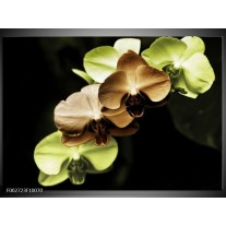 Glas schilderij Orchidee | Groen, Bruin, Zwart 