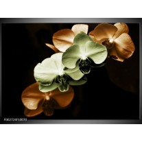 Foto canvas schilderij Orchidee | Groen, Bruin, Zwart 