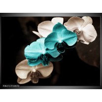 Foto canvas schilderij Orchidee | Blauw, Zwart, Grijs 