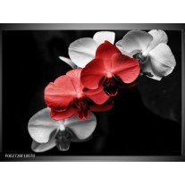 Foto canvas schilderij Orchidee | Rood, Zwart, Grijs 